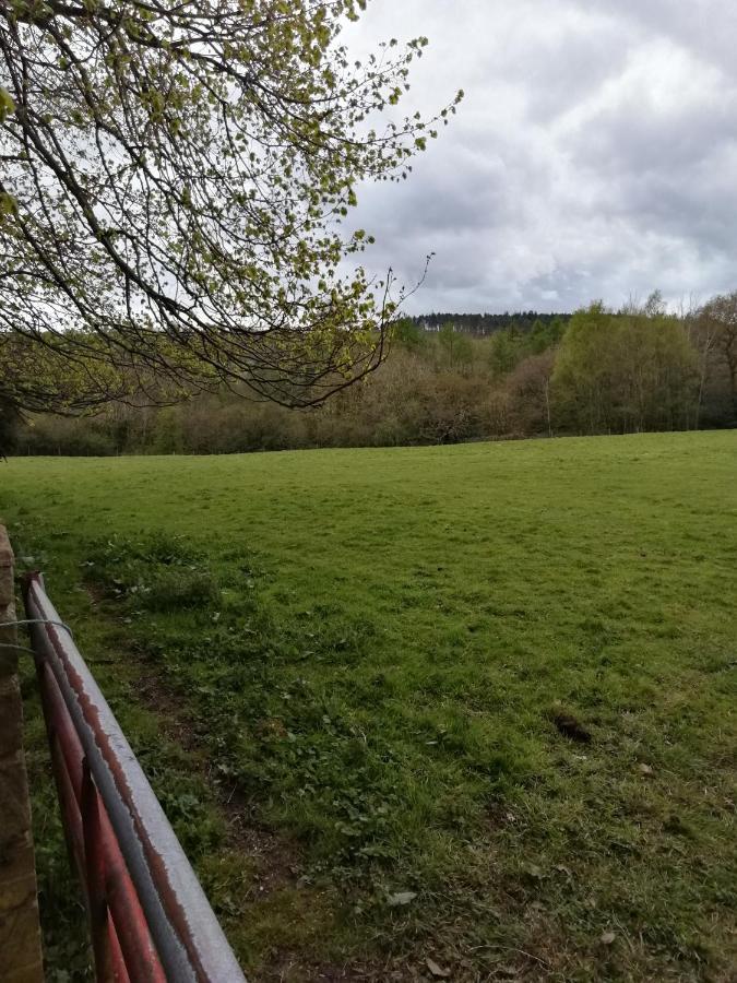 Hotel Durham Donkey Rescue Shepherd'S Hut Exterior foto