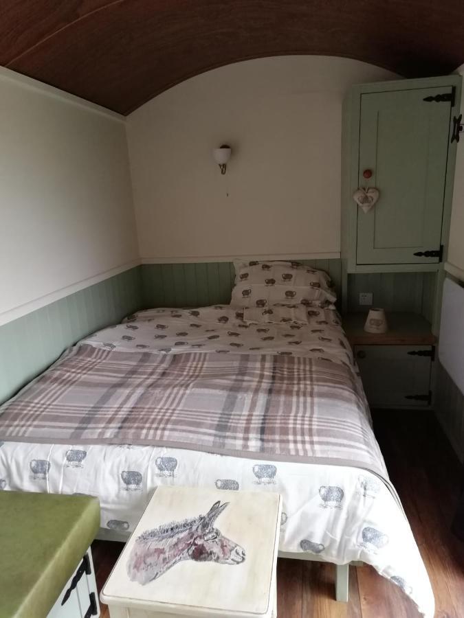 Hotel Durham Donkey Rescue Shepherd'S Hut Exterior foto